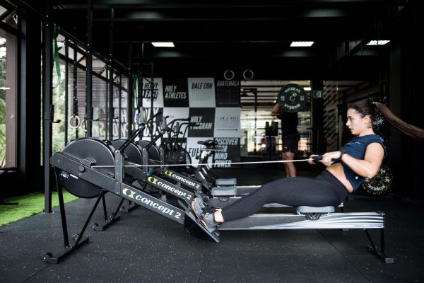 Proyectos Fiteq: Holys