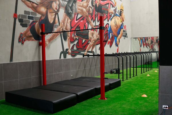 Proyectos Fiteq: Calistbarzz